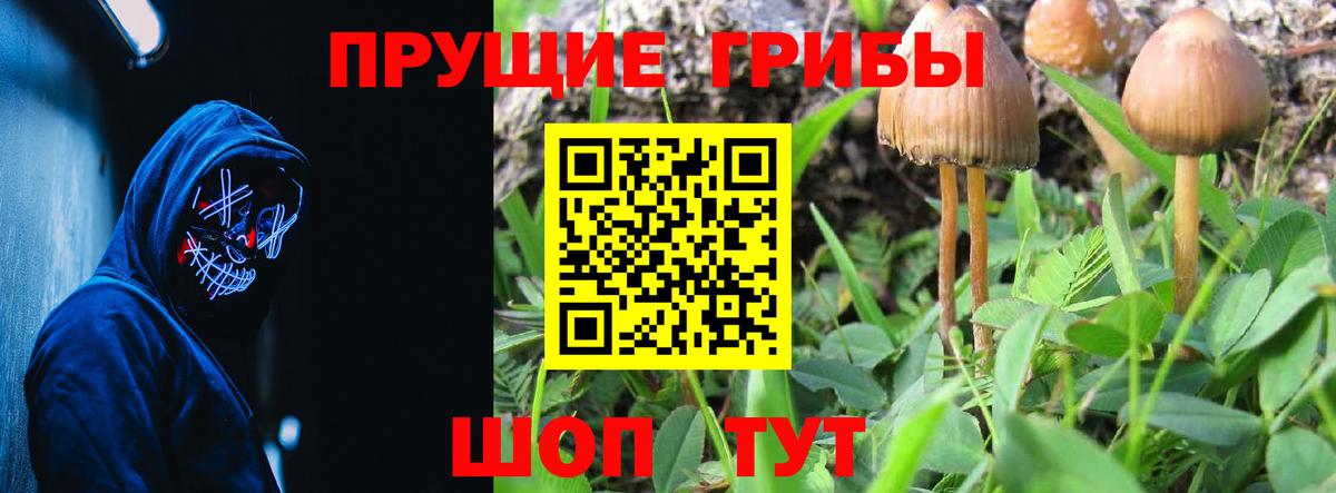 Копейск  Псилоцибиновые грибы мицелий  Вход с VPN 
