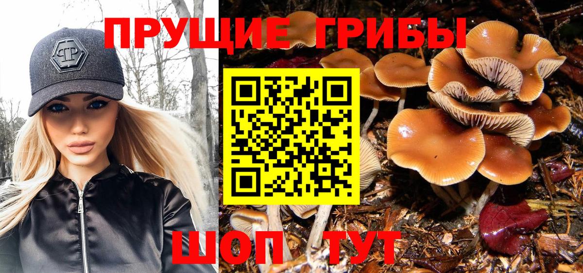 Псилоцибиновые грибы MAGIC MUSHROOMS Копейск